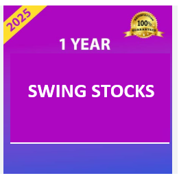 Swing Stocks 1 Year
